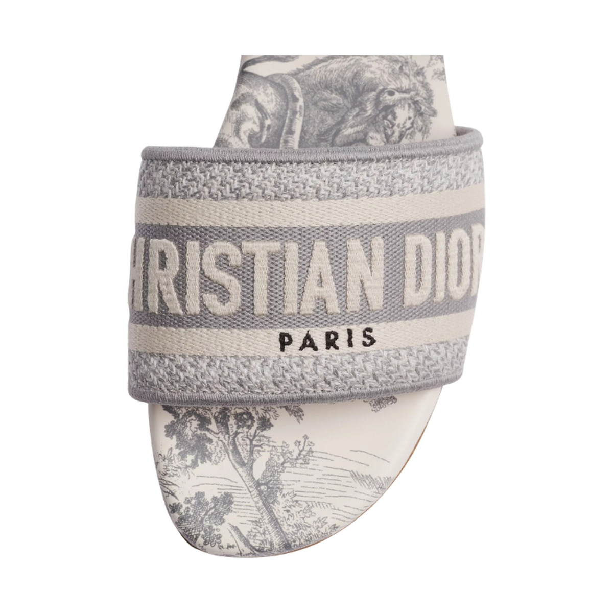 Dior Dway Slide 'Grey Toile de Jouy' (Women)