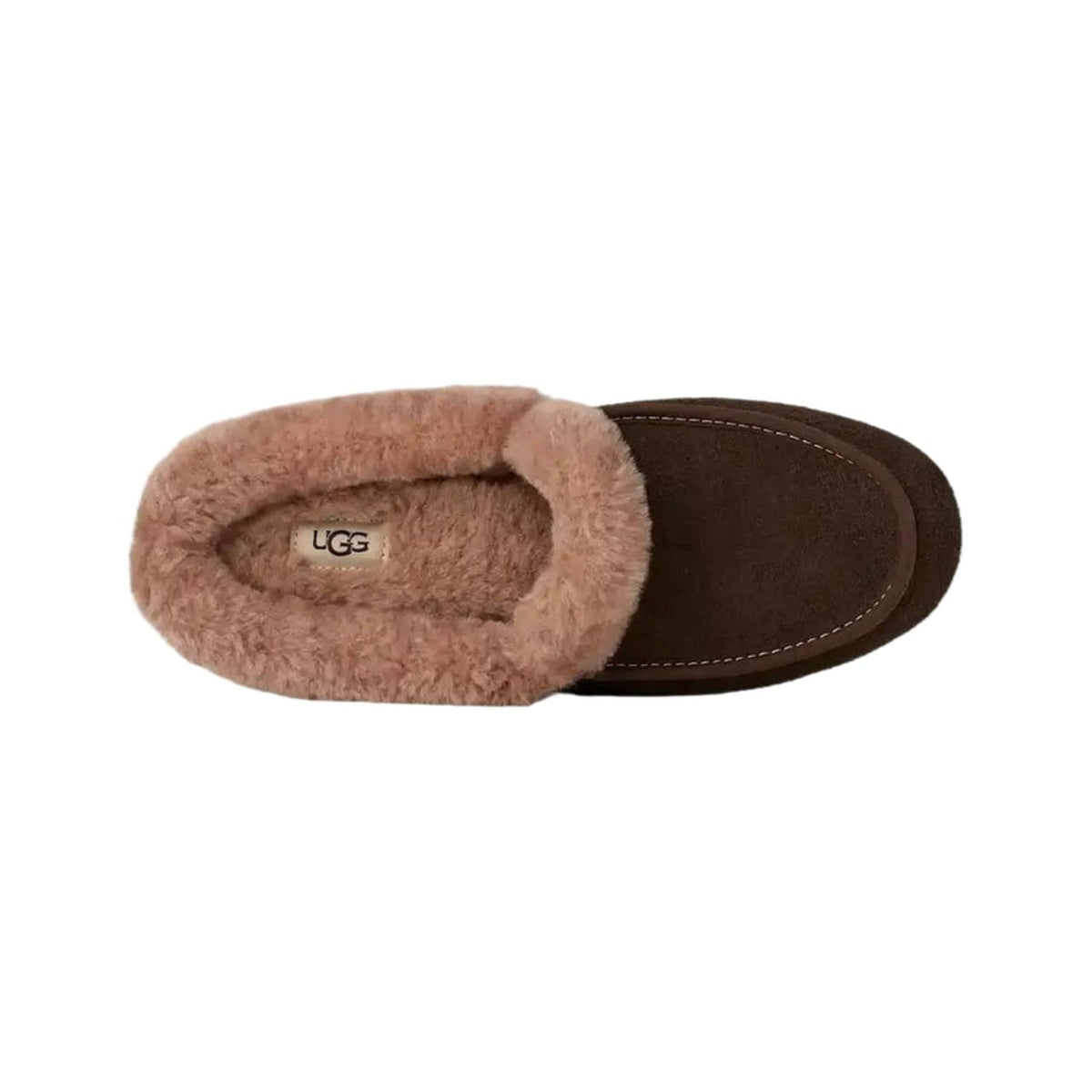 UGG Ansley Mule 'Dusted Cocoa' (Women)